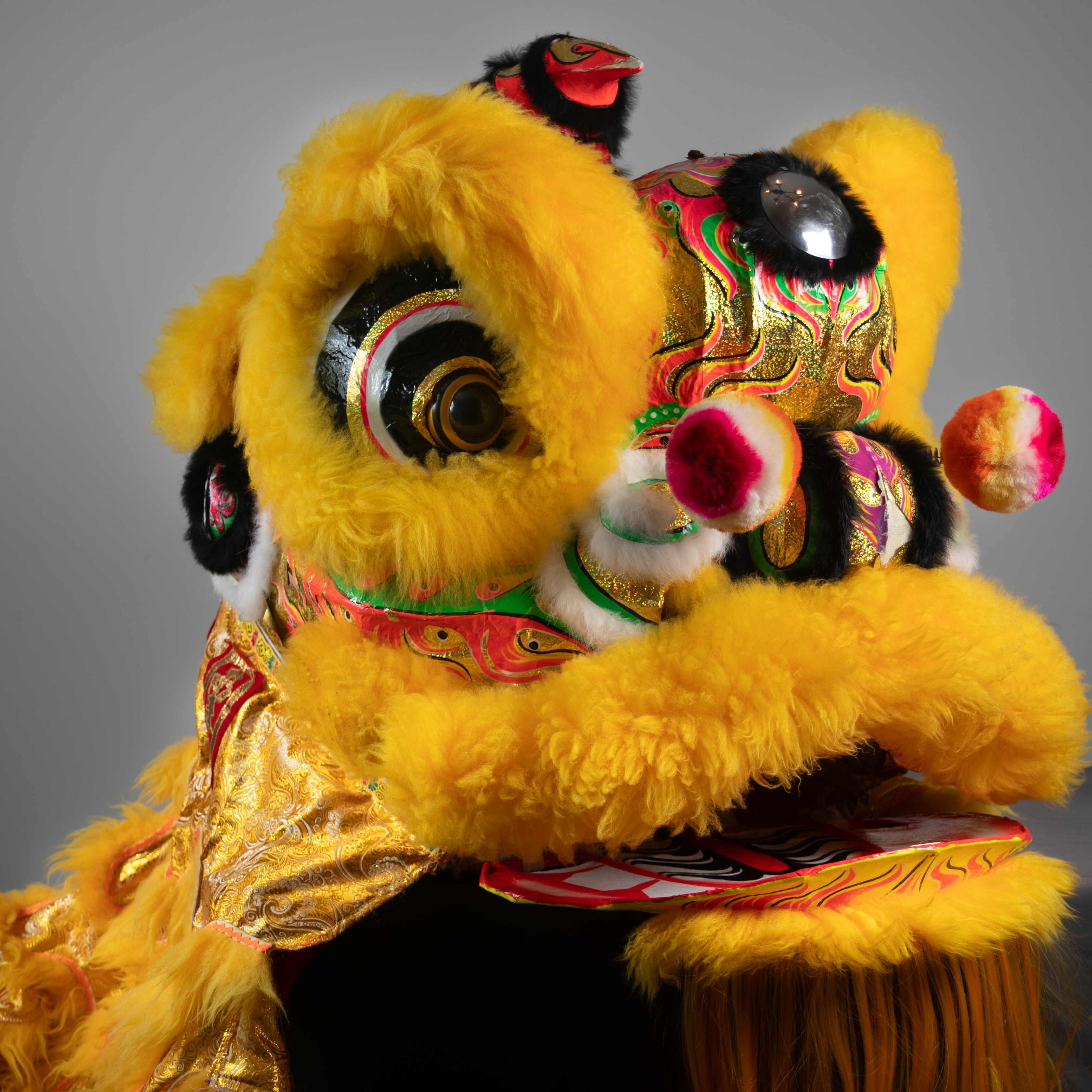 lion picture D Yellow/Gold